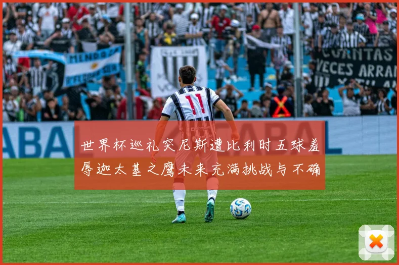 世界杯巡礼突尼斯遭比利时五球羞辱迦太基之鹰未来充满挑战与不确定性
