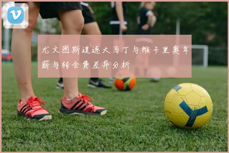 尤文图斯追逐大马丁与维卡里奥年薪与转会费差异分析